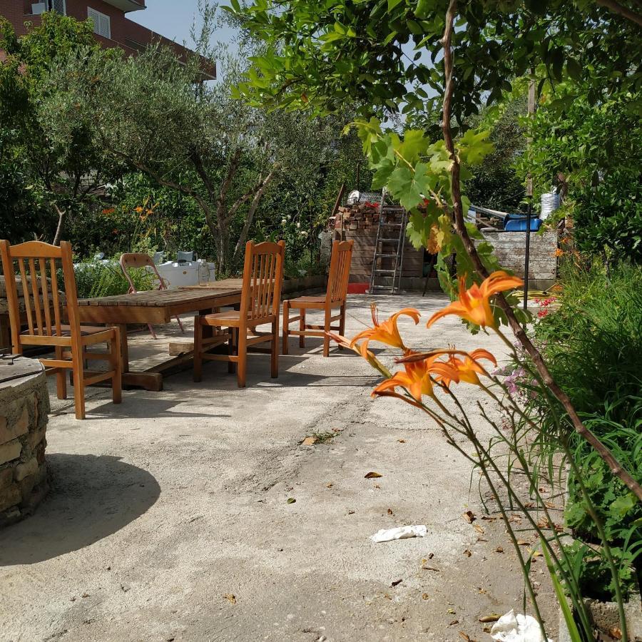 Spacious House With A Big Garden And Fire Pit Villa Tirana Exterior photo